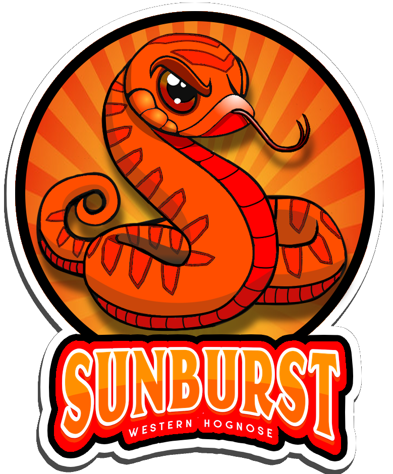 Sunburst Morph Sticker