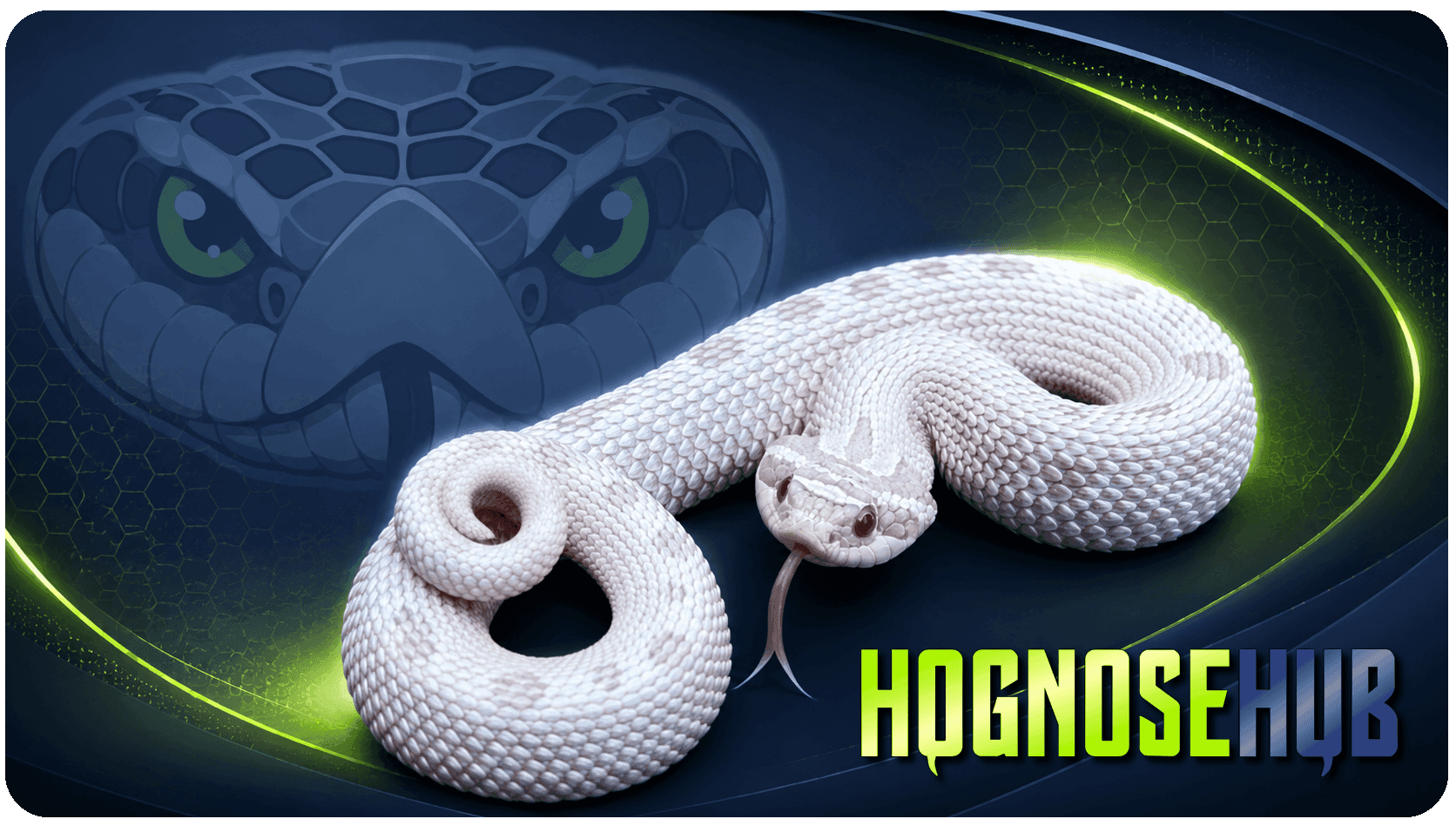 Hognose Hub