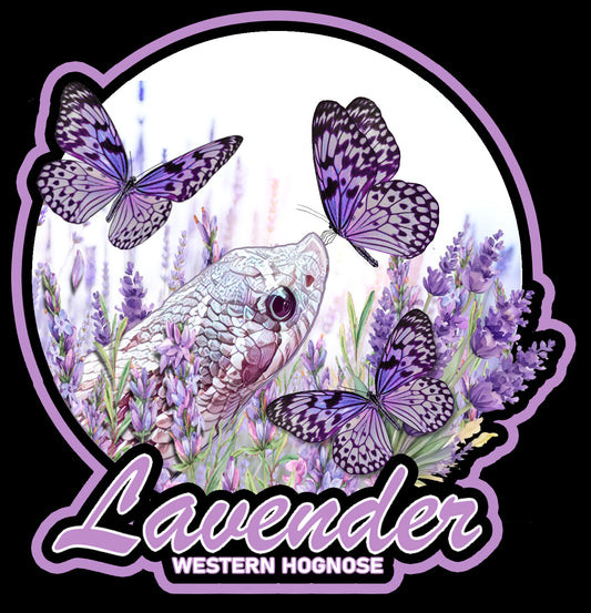 Lavender Hognose Large Sticker