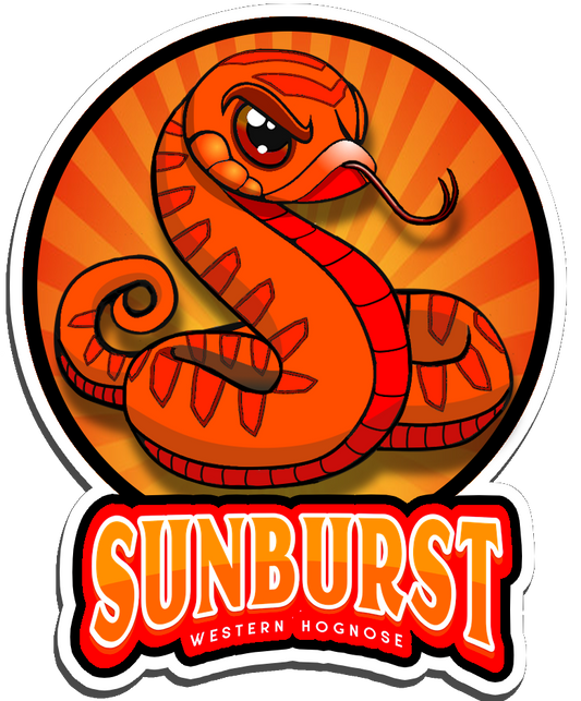 Sunburst Morph Sticker