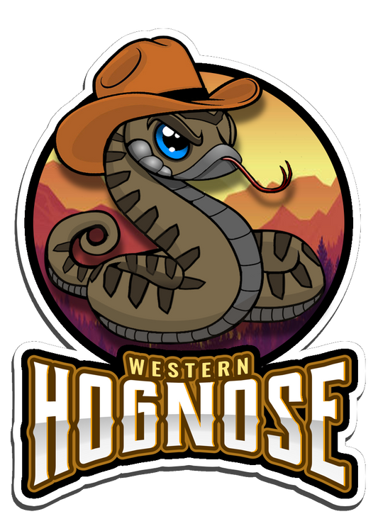 Western Hognose  Sticker