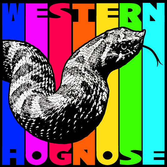 Rainbow Western Hognose Large Sticker