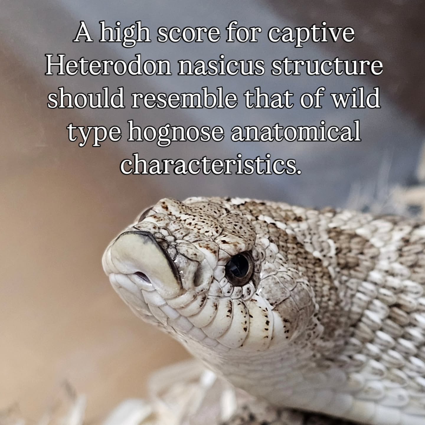 Captive structure should resemble wild type